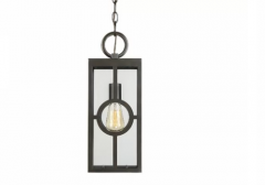 1-Light Outdoor Hanging Lantern